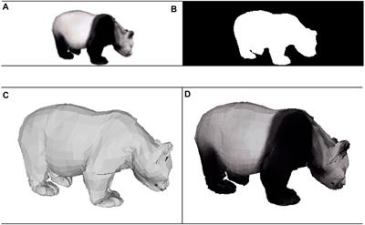 Giant Panda Video Image Sequence and Application in 3D Reconstruction